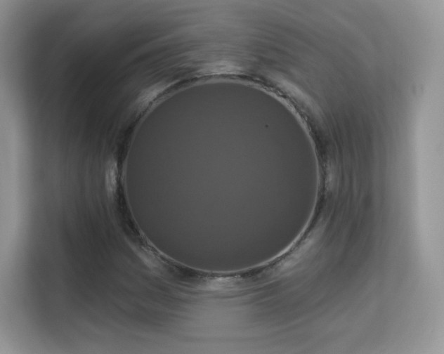 X0000113551161200909251032