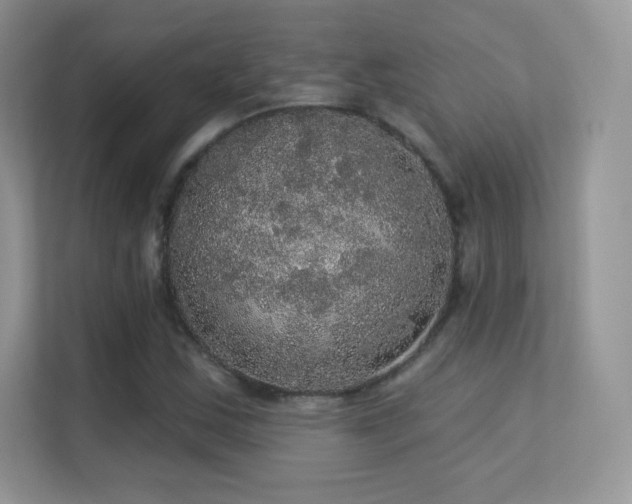 X0000113551163200909251032