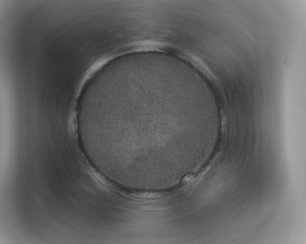 X0000113551164200909251032