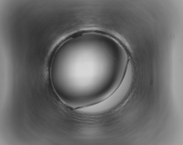 X0000113551167200909251032