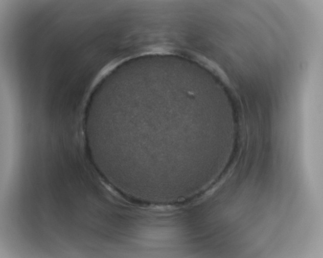 X0000113551168200909251032