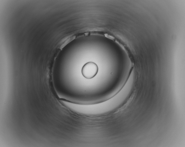 X0000113551169200909251032