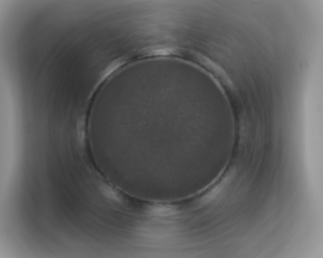 X0000113551170200909251032