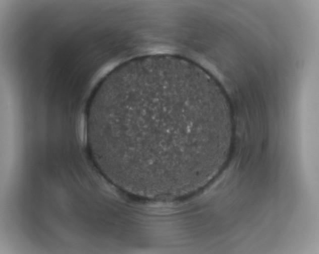 X0000113551171200909251032