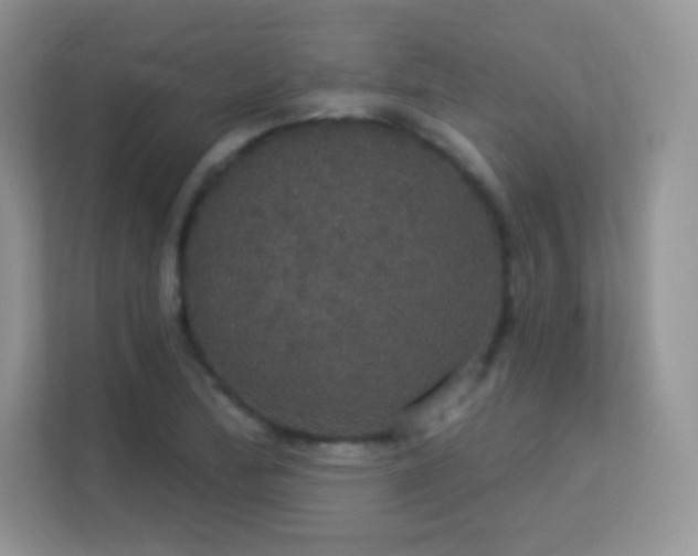 X0000113551172200909251032