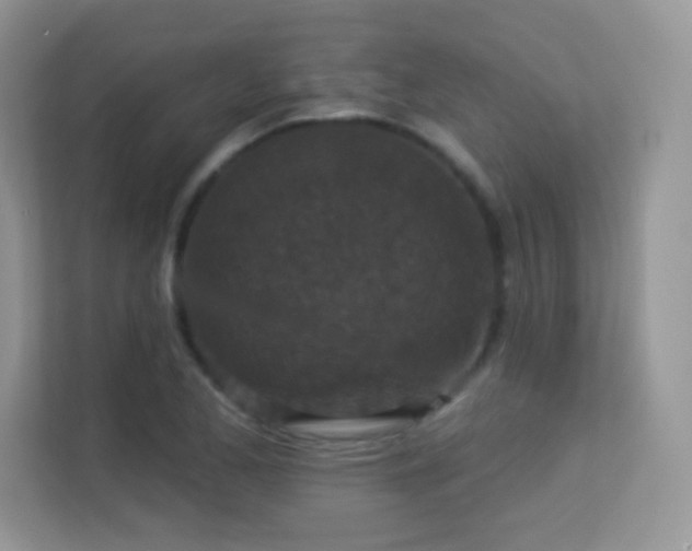 X0000113551173200909251032