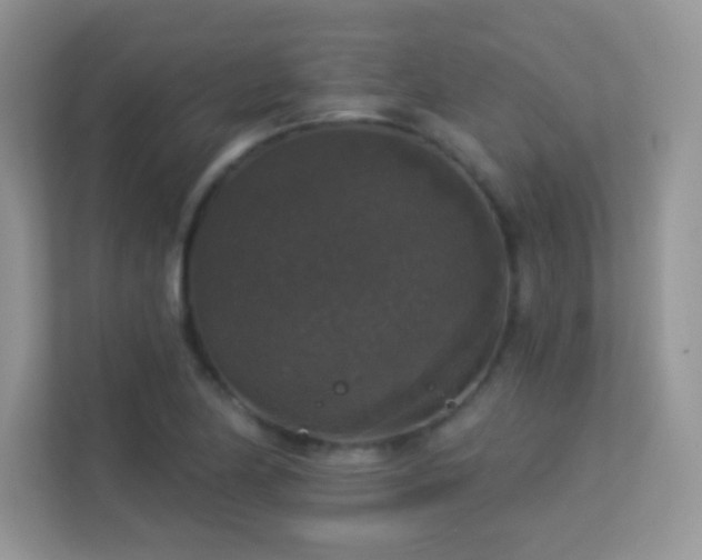 X0000113551174200909251032