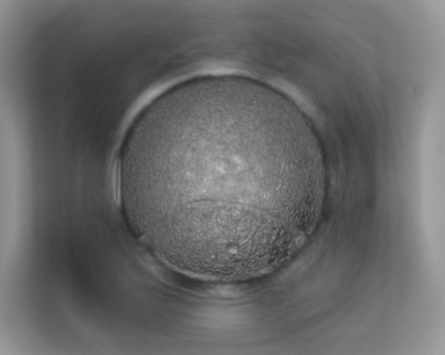 X0000113551175200909251032