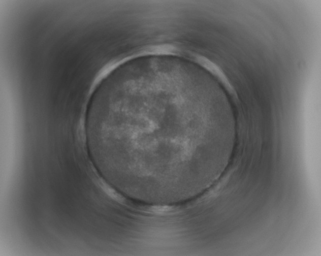 X0000113551176200909251032