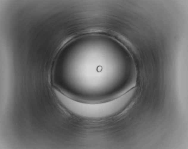 X0000113551177200909251032