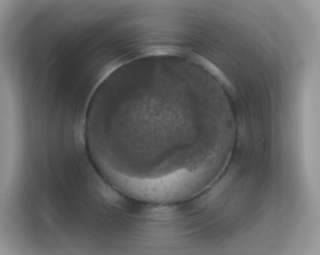 X0000113551178200909251032