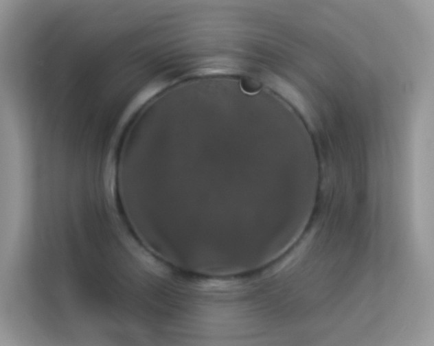 X0000113551179200909251032