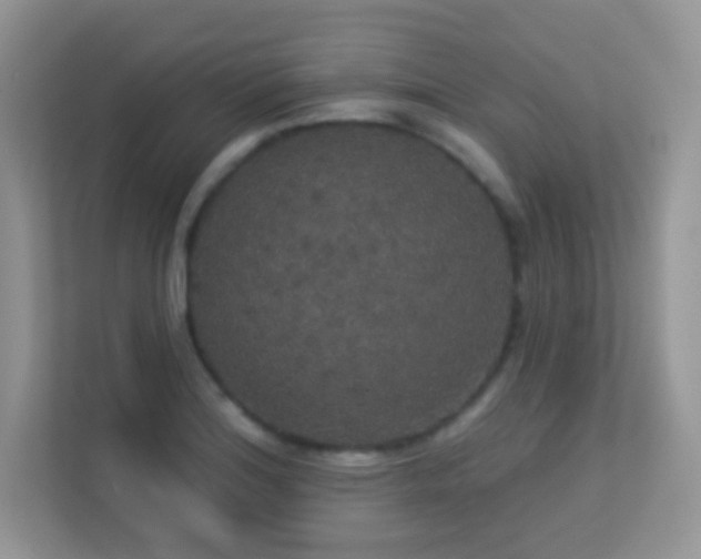 X0000113551180200909251032