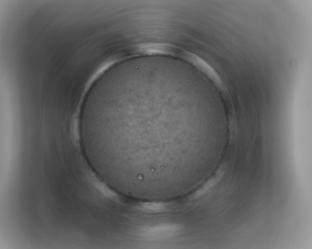 X0000113551182200909251032