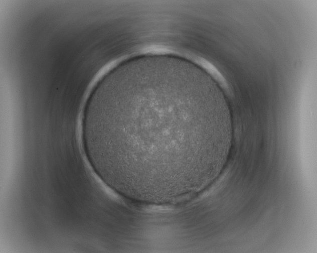 X0000113551183200909251032