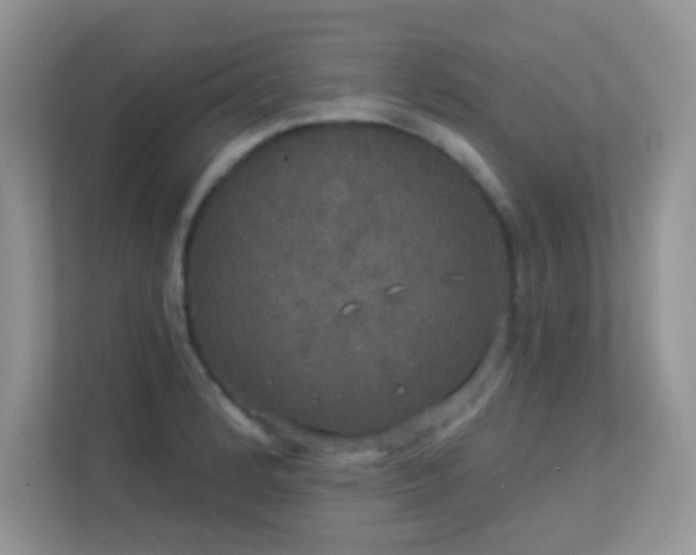 X0000113551184200909251032