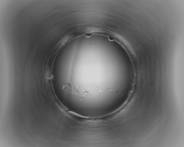 X0000113551185200909251032