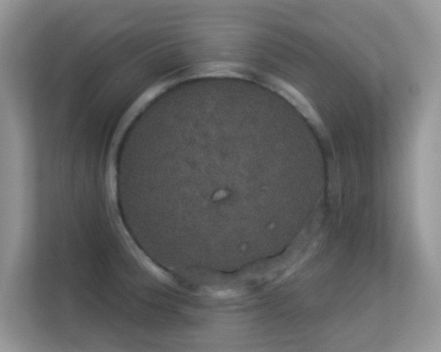 X0000113551188200909251032