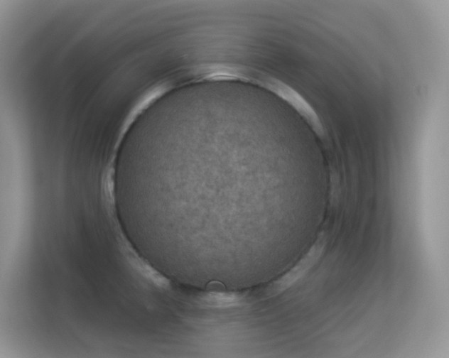 X0000113551190200909251031