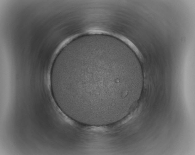 X0000113551191200909251031