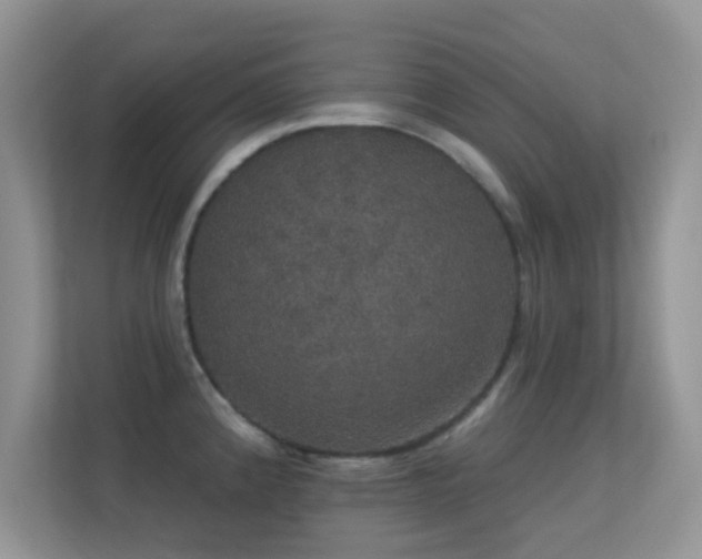 X0000113551192200909251031