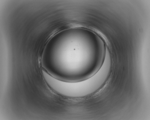 X0000113551193200909251031