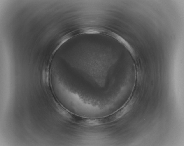 X0000113551194200909251031