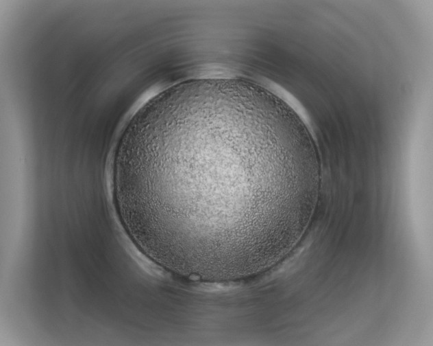 X0000113551195200909251031