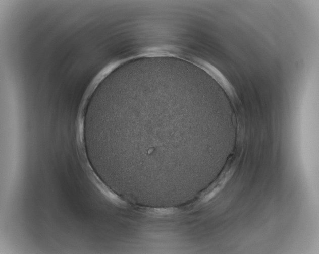 X0000113551196200909251031