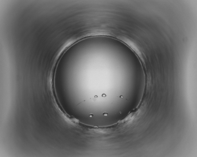 X0000113551197200909251031