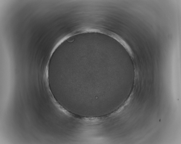 X0000113551198200909251031