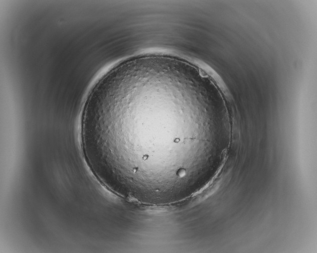 X0000113551199200909251031