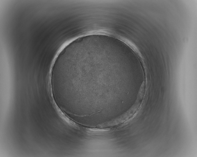 X0000113551200200909251031