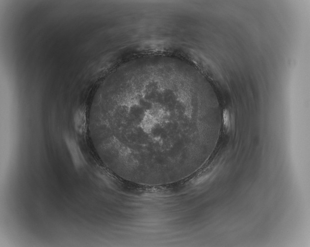 X0000113551203200909251031