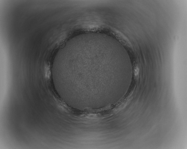 X0000113551204200909251031