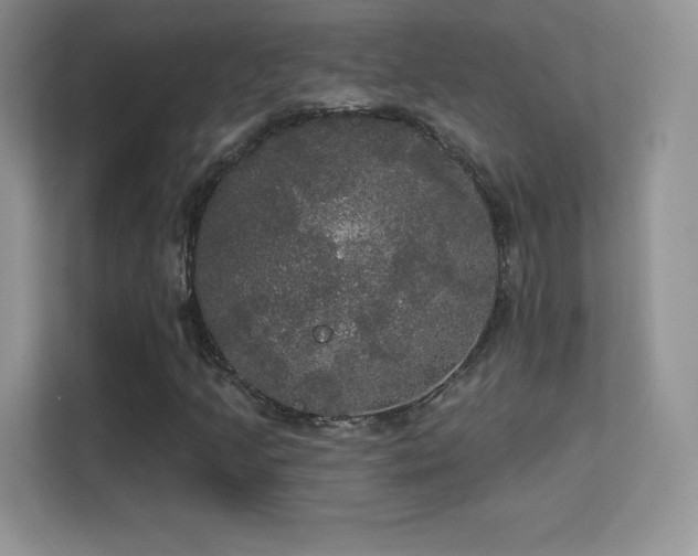 X0000113551205200909251031