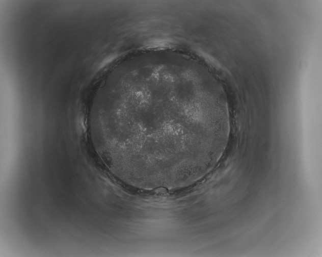 X0000113551206200909251031