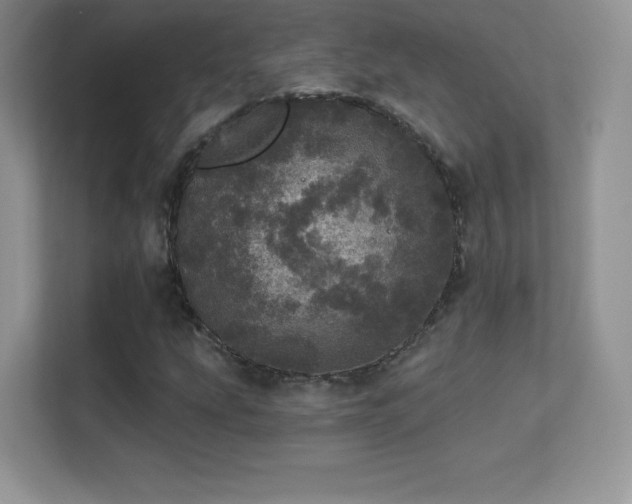 X0000113551207200909251031