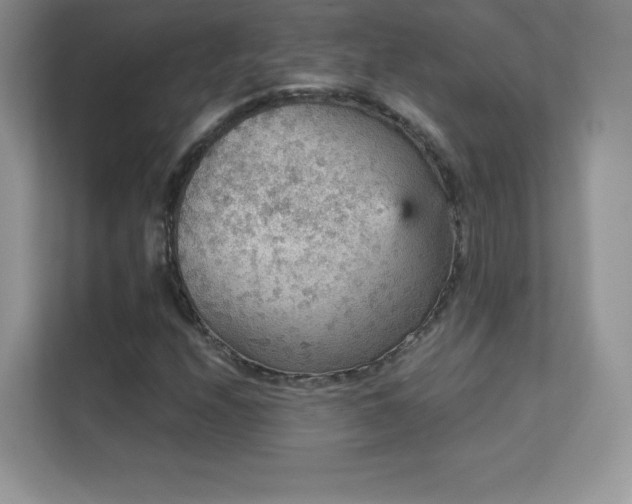 X0000113551208200909251031