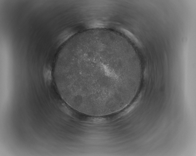 X0000113551209200909251031