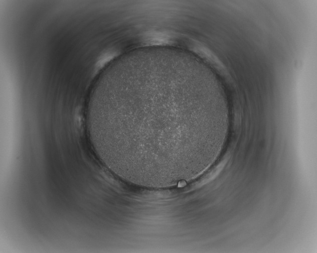 X0000113551210200909251031