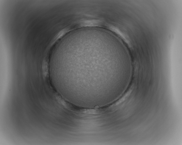 X0000113551211200909251031