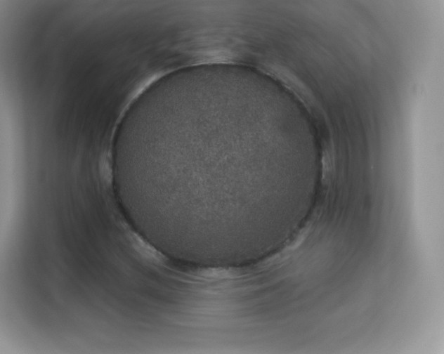 X0000113551212200909251031