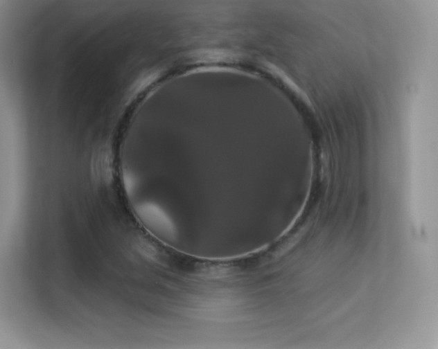 X0000113551213200909251031