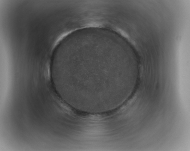 X0000113551214200909251031