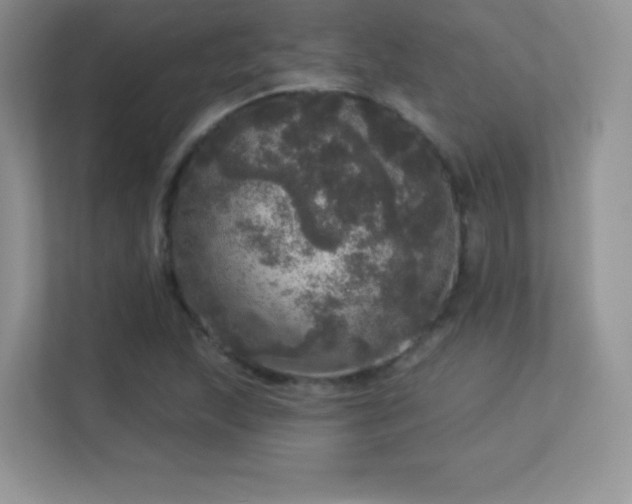 X0000113551215200909251031