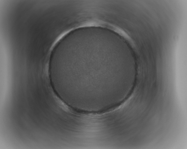 X0000113551216200909251031