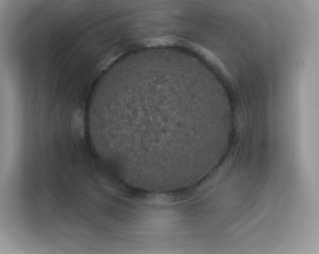 X0000113551217200909251031