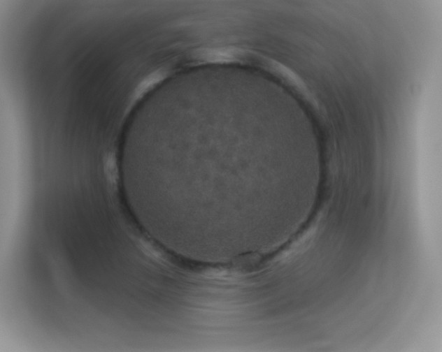 X0000113551218200909251031