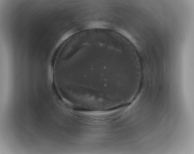 X0000113551219200909251031